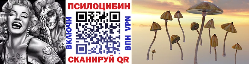 Псилоцибиновые грибы прущие грибы закладки Сатка